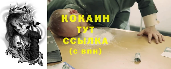 амф Дмитров