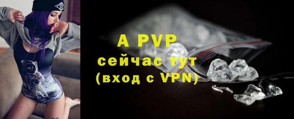 амф Дмитров