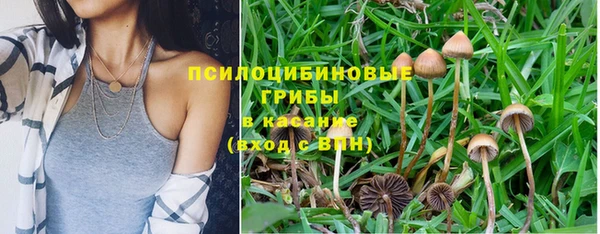 крисы Дмитровск