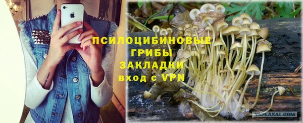 шишки Заволжье