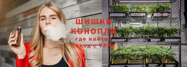 каннабис Михайловка