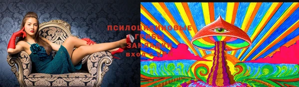 амф Дмитров