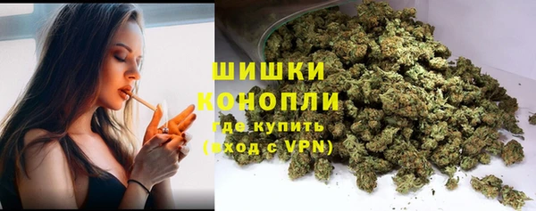 амф Дмитров