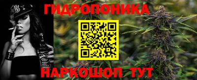 шишки Балаково