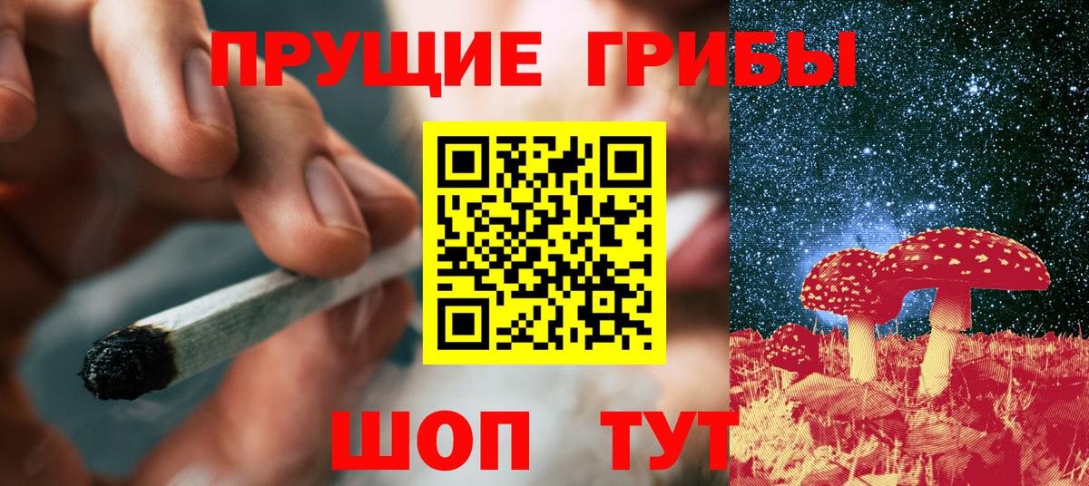Галлюциногенные грибы Psilocybine cubensis  Вход с VPN  Заречный  Галлюциногенные грибы прущие грибы 
