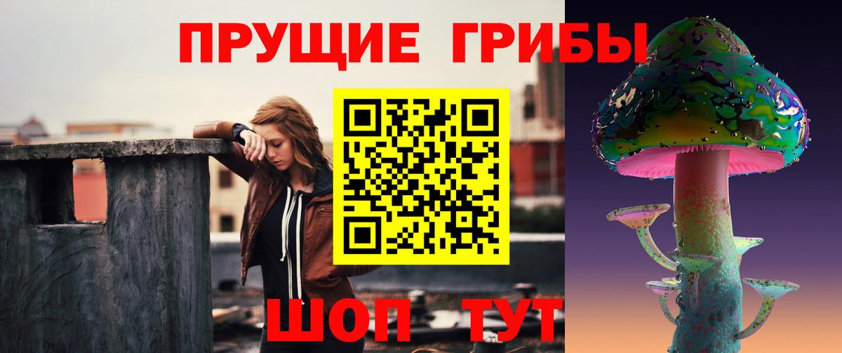 Галлюциногенные грибы MAGIC MUSHROOMS Заречный